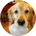 Paula Brister Avatar